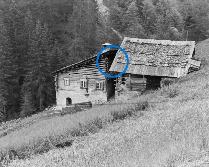 Detail dla porta, 1460/90