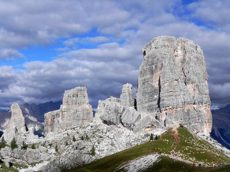 Biesces sun pastura japé dla Cinch Tores sëura la cuna de Cortina d’Ampëz. Foto: Marco Avanzani